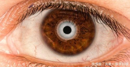 三D打印仿生技術(shù)取得新打破，仿生眼球，仿生脊柱或?qū)柺?></div>
				<div   id=